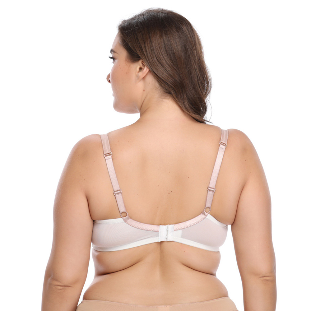 biggest push up bra ever