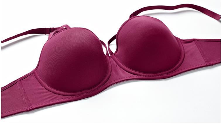 fancy bra online